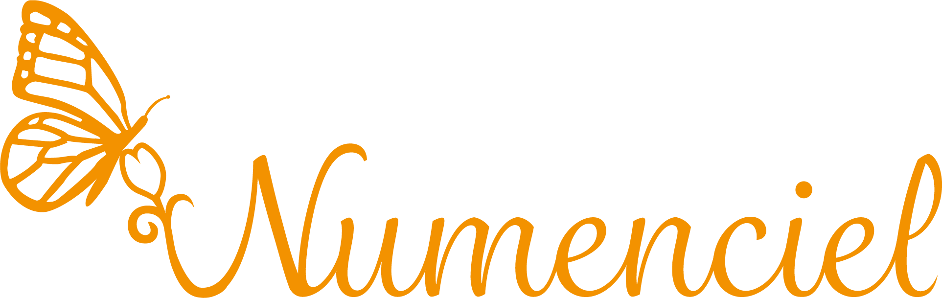 LOGO Numenciel orange